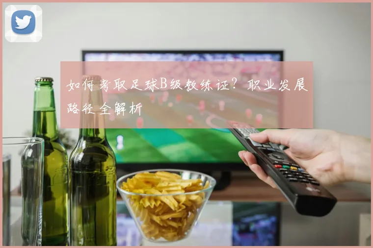 如何考取足球B级教练证？职业发展路径全解析