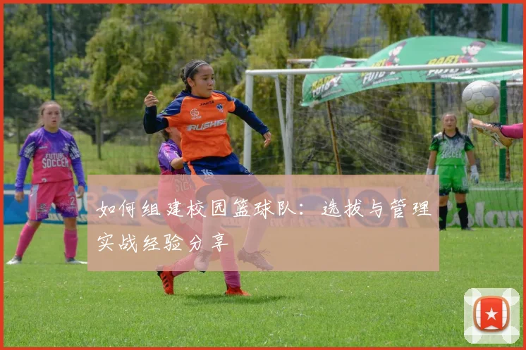 如何组建校园篮球队：选拔与管理实战经验分享